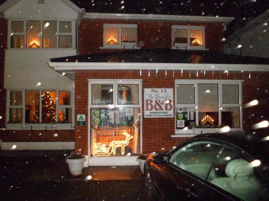 The Branches B&B Голвей Екстер'єр фото
